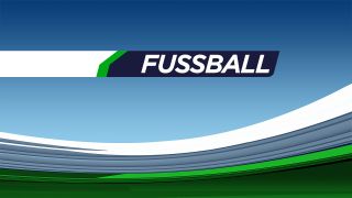 Fußball EM-Qualifikation: Österreich - Estland