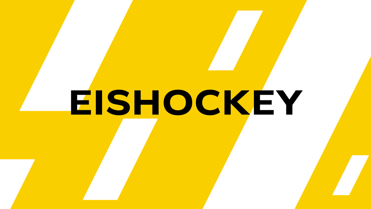 Eishockey Olympia Qualifikation 2024 Kasachstan Österreich aus