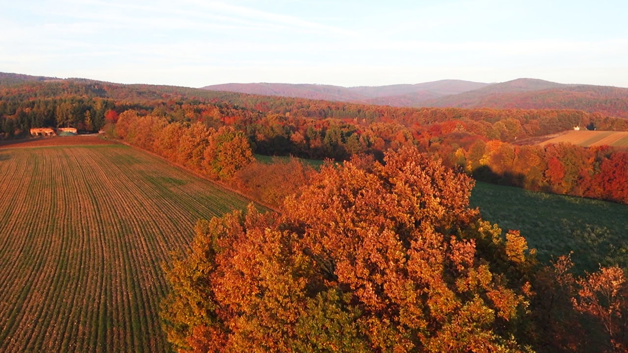Die burgenländische Walachei Vlahija Die burgenländische Walachei