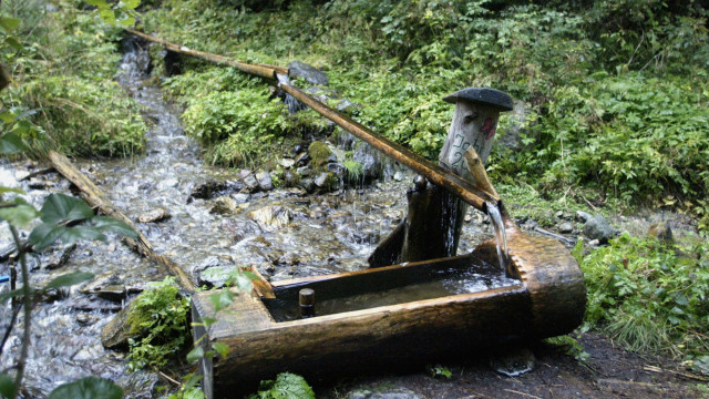 Expeditionen: Kärnten - Leben am Wasser
