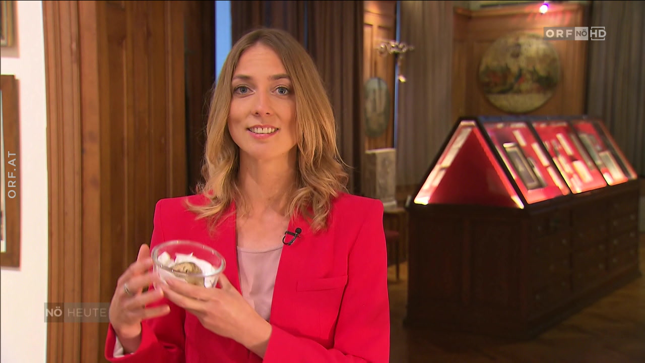 Bericht Zur Langen Nacht Der Museen Nieder sterreich Heute Vom 01 10 Bericht Zur Langen Nacht Der Museen Nieder sterreich Heute Vom 01 10