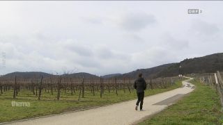 Signation | Begrüßung