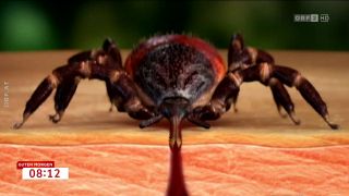 Signation | Begrüßung