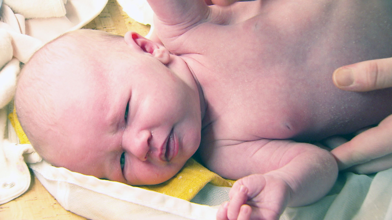 Wenn das Leben neu erwacht - Ein Panoptikum