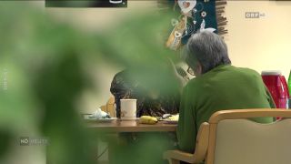 Signation | Themen
