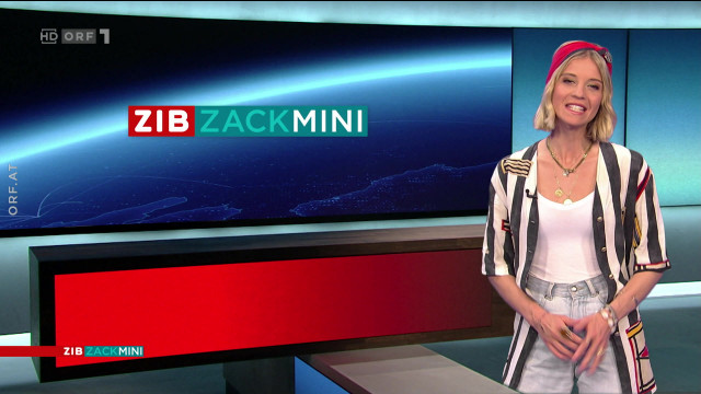 ZIB Zack Mini