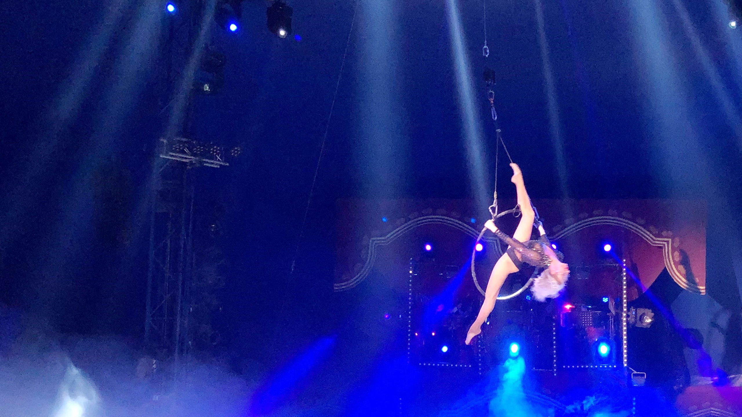 experience-austria-s-circus-life-behind-the-glittering-curtain-archyde