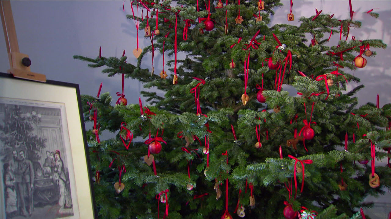 Österreich Bild: O Tannenbaum - Die Christbäume vom Jauerling