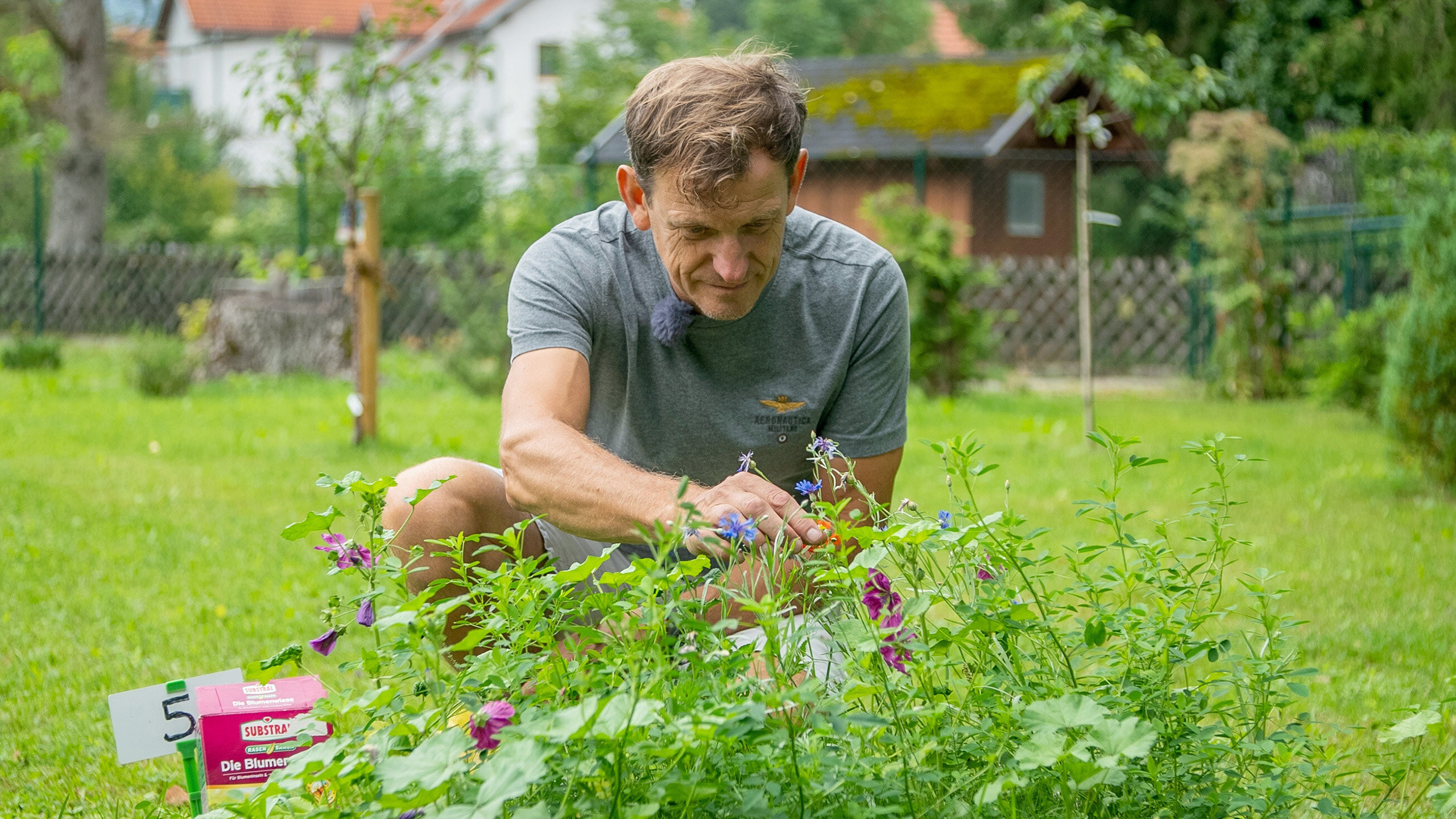 Der perfekte Garten mit Johannes Käfer vom 11.03.2024 um 2015 Uhr