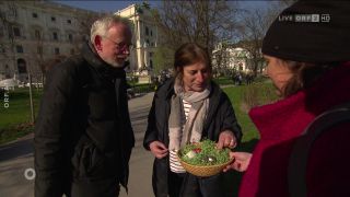 Theologe Markus Tiwald zur Auferstehung Orientierung vom 31.03.2024