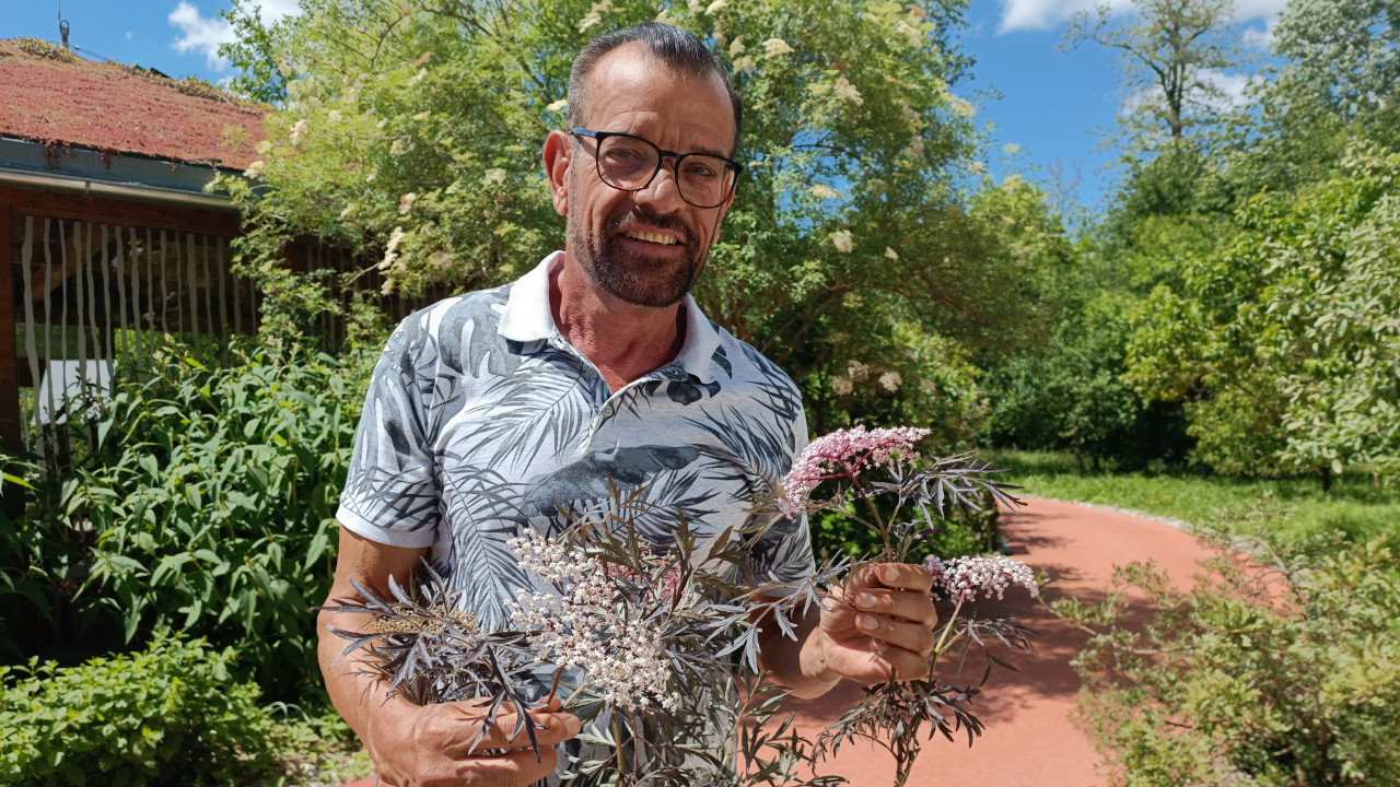 Natur im Garten ORF ON